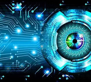 Our Vision